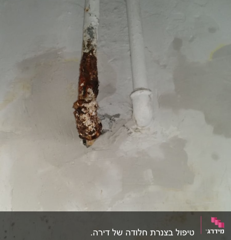 צינור חלוד עם נזילה על קיר לבן